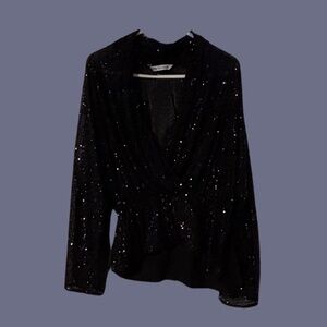 Sequin Long Sleeve Plunge Neck ZARA Size XL